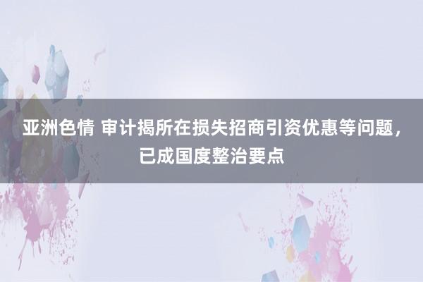 亚洲色情 审计揭所在损失招商引资优惠等问题，已成国度整治要点