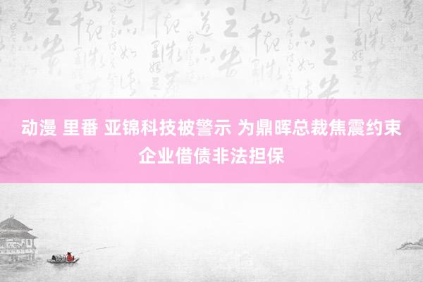 动漫 里番 亚锦科技被警示 为鼎晖总裁焦震约束企业借债非法担保