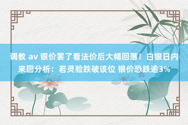 调教 av 银价罢了看法价后大幅回落！白银日内来回分析：若灵验跌破该位 银价恐跌逾3%