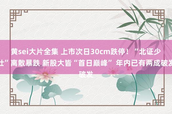 黄sei大片全集 上市次日30cm跌停！“北证少壮”离散暴跌 新股大皆“首日巅峰” 年内已有两成破发