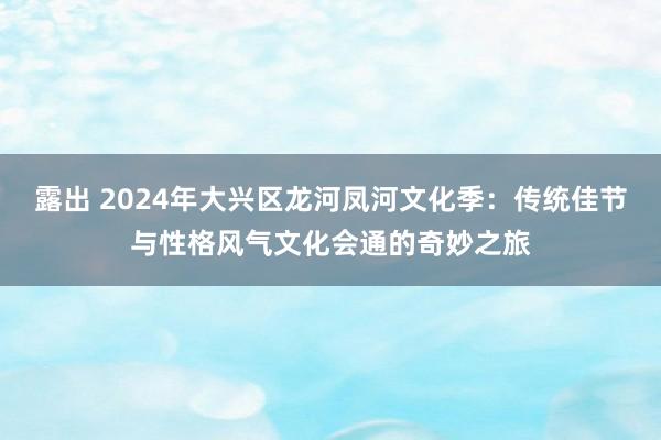 露出 2024年大兴区龙河凤河文化季：传统佳节与性格风气文化会通的奇妙之旅