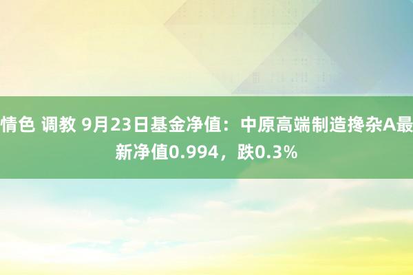 情色 调教 9月23日基金净值：中原高端制造搀杂A最新净值0.994，跌0.3%