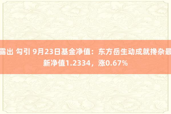 露出 勾引 9月23日基金净值：东方岳生动成就搀杂最新净值1.2334，涨0.67%