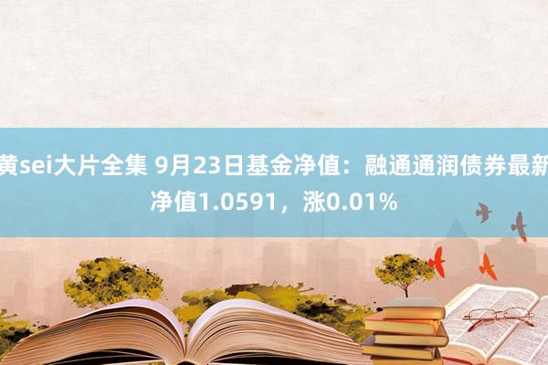 黄sei大片全集 9月23日基金净值：融通通润债券最新净值1.0591，涨0.01%