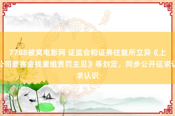 7788被窝电影网 证监会和证券往复所立异《上市公司要害金钱重组责罚主见》等划定，同步公开征求认识