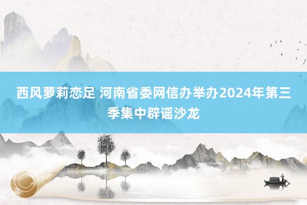 西风萝莉恋足 河南省委网信办举办2024年第三季集中辟谣沙龙