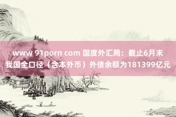 www 91porn com 国度外汇局：截止6月末我国全口径（含本外币）外债余额为181399亿元