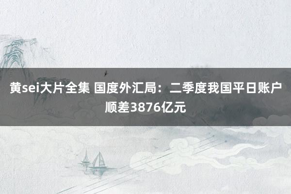 黄sei大片全集 国度外汇局：二季度我国平日账户顺差3876亿元