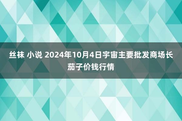 丝袜 小说 2024年10月4日宇宙主要批发商场长茄子价钱行情