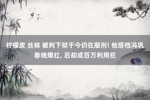 柠檬皮 丝袜 被判下狱于今仍在服刑! 他搭档冯巩春晚爆红， 后却成百万利用犯