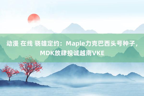 动漫 在线 骁雄定约：Maple力克巴西头号种子，MDK放肆投诚越南VKE