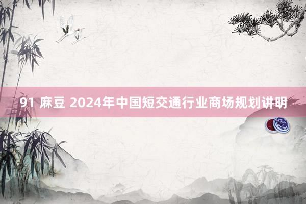 91 麻豆 2024年中国短交通行业商场规划讲明