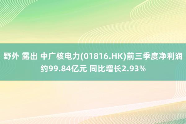 野外 露出 中广核电力(01816.HK)前三季度净利润约99.84亿元 同比增长2.93%