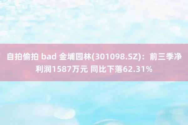 自拍偷拍 bad 金埔园林(301098.SZ)：前三季净利润1587万元 同比下落62.31%