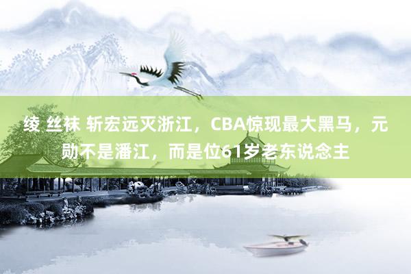 绫 丝袜 斩宏远灭浙江，CBA惊现最大黑马，元勋不是潘江，而是位61岁老东说念主