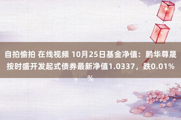 自拍偷拍 在线视频 10月25日基金净值：鹏华尊晟按时盛开发起式债券最新净值1.0337，跌0.01%