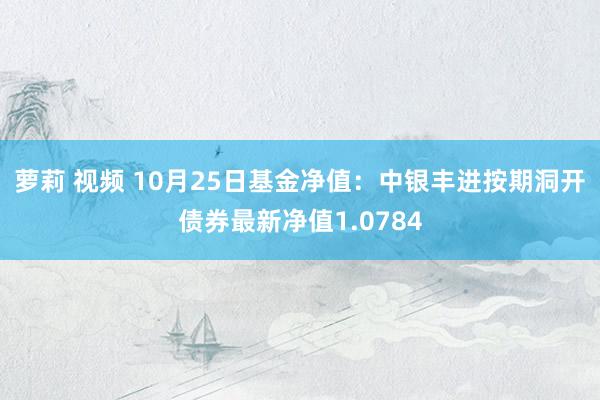 萝莉 视频 10月25日基金净值：中银丰进按期洞开债券最新净值1.0784