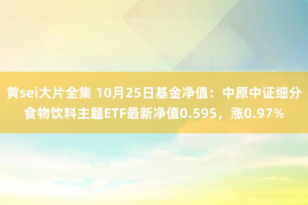 黄sei大片全集 10月25日基金净值：中原中证细分食物饮料主题ETF最新净值0.595，涨0.97%