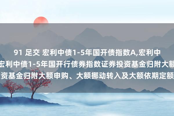 91 足交 宏利中债1-5年国开债指数A，宏利中债1-5年国开债指数C: 宏利中债1-5年国开行债券指数证券投资基金归附大额申购、大额挪动转入及大额依期定额投资业务的公告