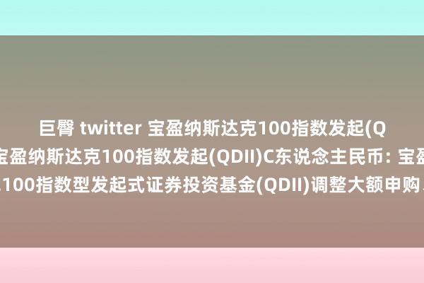 巨臀 twitter 宝盈纳斯达克100指数发起(QDII)A东说念主民币，宝盈纳斯达克100指数发起(QDII)C东说念主民币: 宝盈纳斯达克100指数型发起式证券投资基金(QDII)调整大额申购、如期定额投资业务纵脱金额的公告