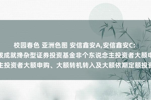 校园春色 亚洲色图 安信鑫安A，安信鑫安C: 对于暂停安信鑫安得利活泼成就搀杂型证券投资基金非个东说念主投资者大额申购、大额转机转入及大额依期定额投资业务的公告