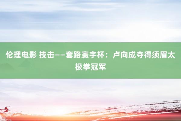 伦理电影 技击——套路寰宇杯：卢向成夺得须眉太极拳冠军