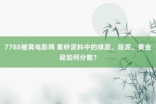 7788被窝电影网 紫砂泥料中的绿泥、段泥、黄金段如何分散？