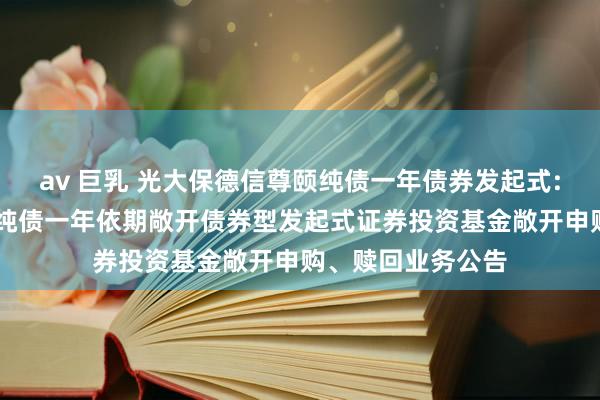 av 巨乳 光大保德信尊颐纯债一年债券发起式: 光大保德信尊颐纯债一年依期敞开债券型发起式证券投资基金敞开申购、赎回业务公告