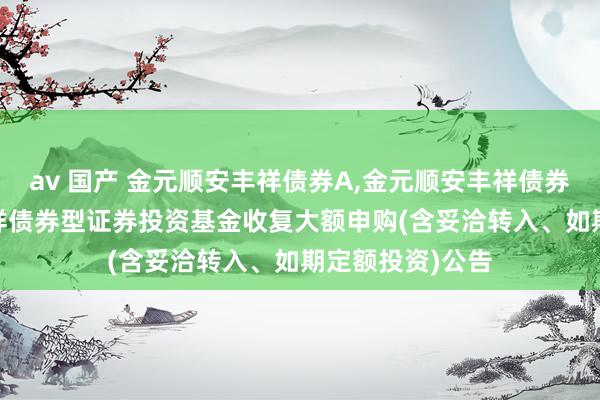 av 国产 金元顺安丰祥债券A，金元顺安丰祥债券C: 金元顺安丰祥债券型证券投资基金收复大额申购(含妥洽转入、如期定额投资)公告