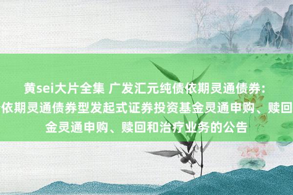 黄sei大片全集 广发汇元纯债依期灵通债券: 对于广发汇元纯债依期灵通债券型发起式证券投资基金灵通申购、赎回和治疗业务的公告