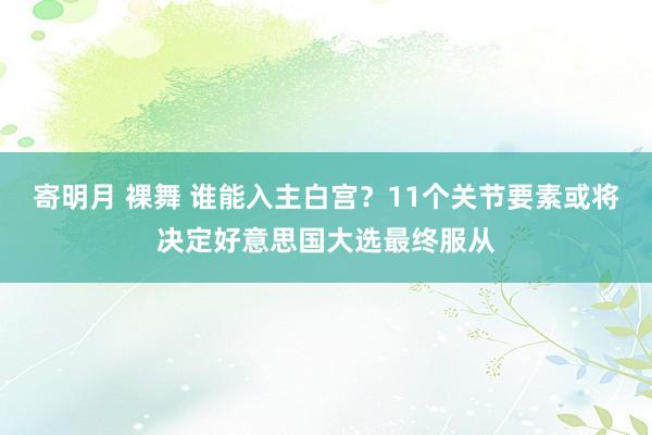 寄明月 裸舞 谁能入主白宫？11个关节要素或将决定好意思国大选最终服从