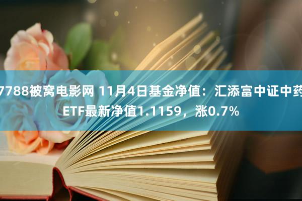 7788被窝电影网 11月4日基金净值：汇添富中证中药ETF最新净值1.1159，涨0.7%