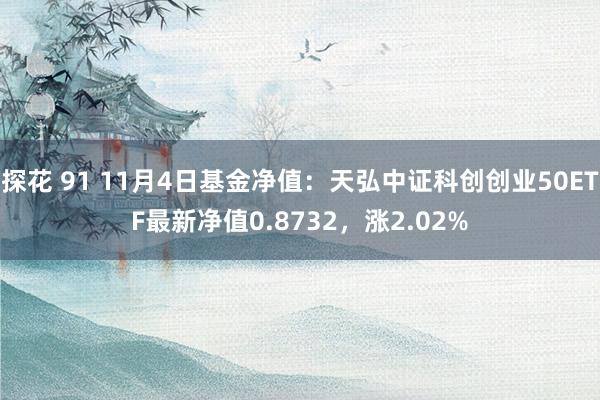 探花 91 11月4日基金净值：天弘中证科创创业50ETF最新净值0.8732，涨2.02%