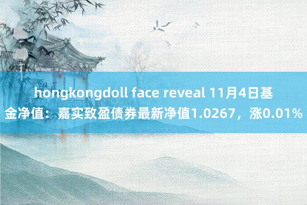 hongkongdoll face reveal 11月4日基金净值：嘉实致盈债券最新净值1.0267，涨0.01%