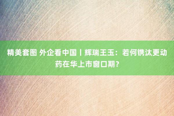 精美套图 外企看中国丨辉瑞王玉：若何镌汰更动药在华上市窗口期？