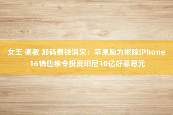 女王 调教 加码费钱消灾：苹果愿为根除iPhone 16销售禁令投资印尼10亿好意思元