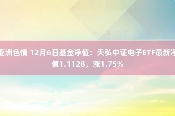 亚洲色情 12月6日基金净值：天弘中证电子ETF最新净值1.1128，涨1.75%