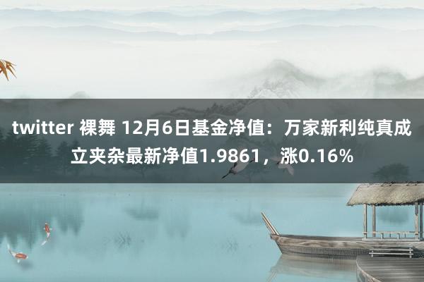 twitter 裸舞 12月6日基金净值：万家新利纯真成立夹杂最新净值1.9861，涨0.16%