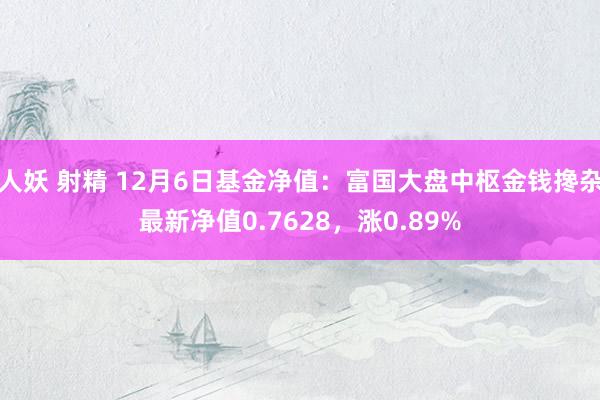 人妖 射精 12月6日基金净值：富国大盘中枢金钱搀杂最新净值0.7628，涨0.89%