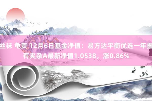 丝袜 龟责 12月6日基金净值：易方达平衡优选一年握有夹杂A最新净值1.0538，涨0.86%