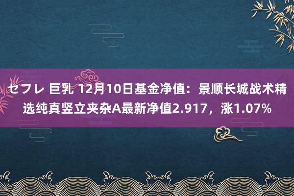 セフレ 巨乳 12月10日基金净值：景顺长城战术精选纯真竖立夹杂A最新净值2.917，涨1.07%