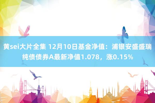 黄sei大片全集 12月10日基金净值：浦银安盛盛瑞纯债债券A最新净值1.078，涨0.15%