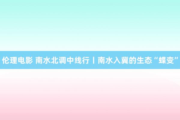 伦理电影 南水北调中线行丨南水入冀的生态“蝶变”