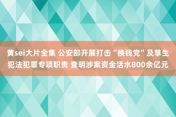 黄sei大片全集 公安部开展打击“换钱党”及孳生犯法犯罪专项职责 查明涉案资金活水800余亿元