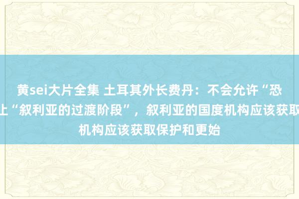 黄sei大片全集 土耳其外长费丹：不会允许“恐怖分子”为止“叙利亚的过渡阶段”，叙利亚的国度机构应该获取保护和更始