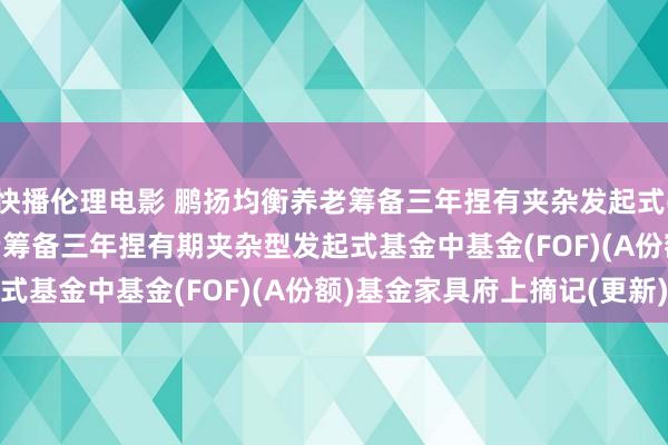 快播伦理电影 鹏扬均衡养老筹备三年捏有夹杂发起式(FOF)A: 鹏扬均衡养老筹备三年捏有期夹杂型发起式基金中基金(FOF)(A份额)基金家具府上摘记(更新)