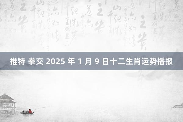 推特 拳交 2025 年 1 月 9 日十二生肖运势播报