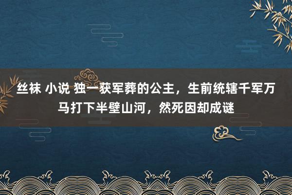 丝袜 小说 独一获军葬的公主，生前统辖千军万马打下半壁山河，然死因却成谜