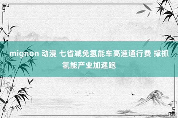 mignon 动漫 七省减免氢能车高速通行费 撑抓氢能产业加速跑