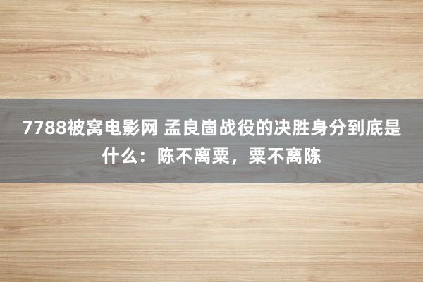 7788被窝电影网 孟良崮战役的决胜身分到底是什么：陈不离粟，粟不离陈